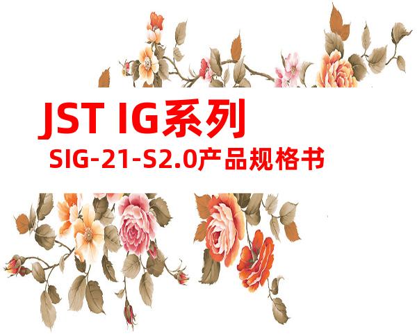 JST IG系列 SIG-21-S2.0产品规格书